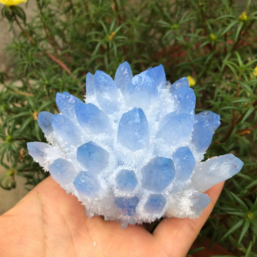 300g new find blue - find,