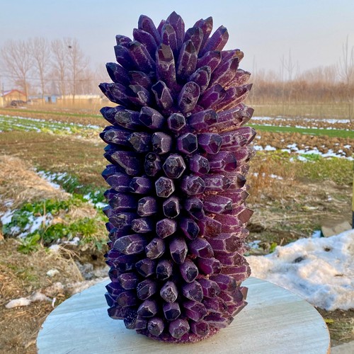 93lb new find - new, purple