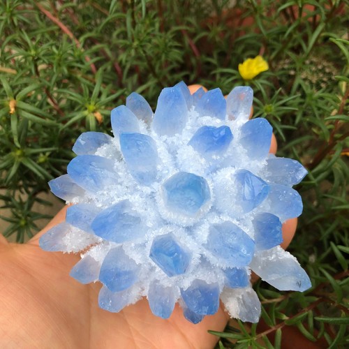 300g new find blue - blue, phantom